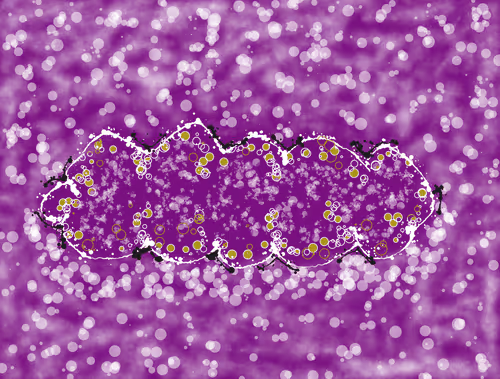 23807547862851357141853996565894485523710675712964198116484924965026604777473