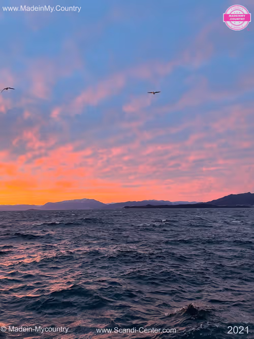 Item #21218919643484846679386017214105436286474954155539936946797714423852082135090 Media