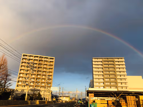 Untitled Collection #255742354