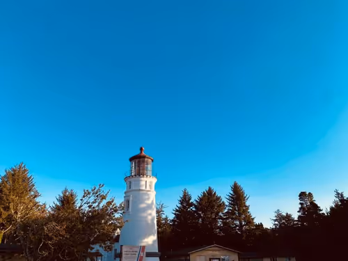 Item #2005862319158051831365229387864138466486092287762213337058068751614864261121 Media