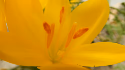 Item #53581876738018030526296833198765097323208142745183468553001527185219665264641 Media