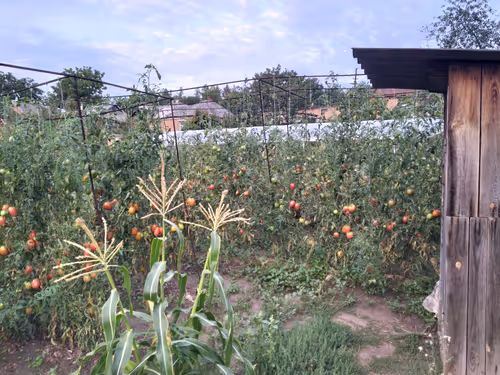 Item #41983459946325006344850038724007157971914249844141491949312563386000580018177 Media