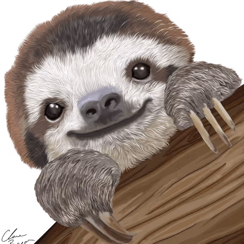 Three Toed Sloth (Bradypus Variegatus) Oil Art
