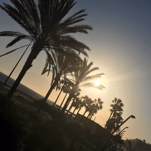 adn_Palms_of_Quarteira #1