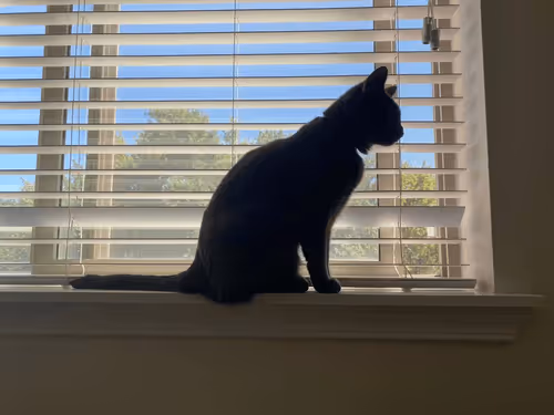 Item #68992994871678840230737782920192836034454221596587270053419323749374145593345 Media