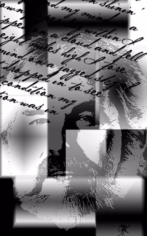 Item #103022011508213349138804114197479979300508408928716116769051023677940297629697 Media