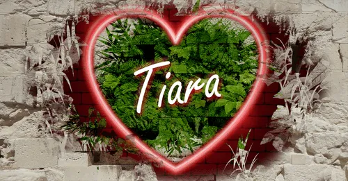 Item #68053287575525751288269231675427811746861684968250582901590729581538020687882 Media