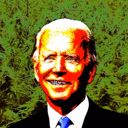 21688527815507990779780435242269546376679550267989735943769098397137409933313