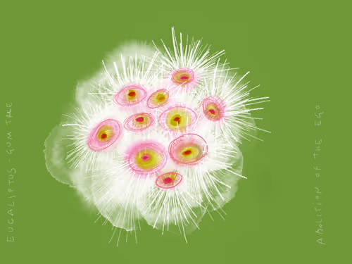 Item #36852278608857291470989576231944557876708875347652874372458497591364772954113 Media