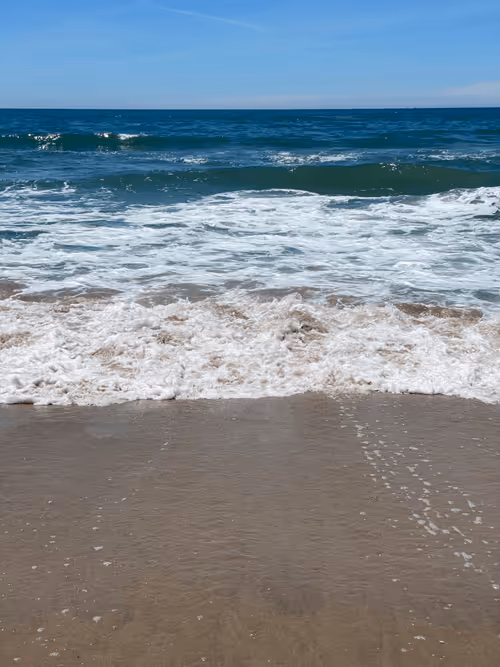 Item #115344379146246064240773863534986848542272630422877539424953159151846579765249 Media