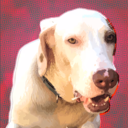 Item #105666504886539346611625553081050838724307445958960525331001535438586891993089 Media