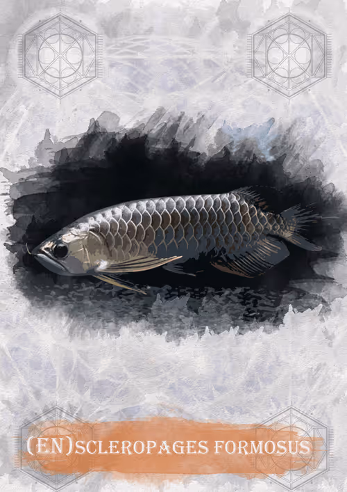 Item #108829080069432666427413762901192148077907568328307962474054884595833384206343 Media