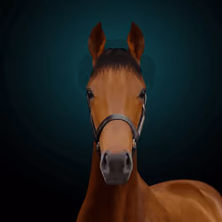 Arkle