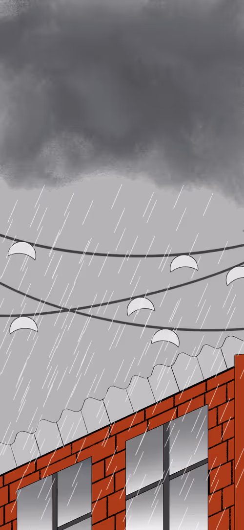 Item #66682122277581943136268281272981443327477411752367601625829275479876063723521 Media