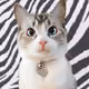 75457194886108443629750655022355317305433249571379046942976093983313970069514