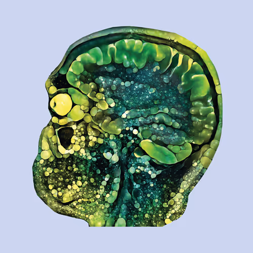 Item #103537199481813866111275584604128457749935418294223134182320110178798716059649 Media