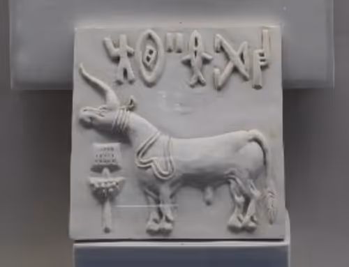 Item #39916610678052500138596211548792698776473563312308341193271399257730520711169 Media