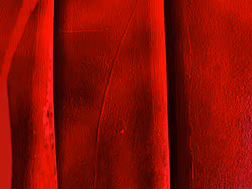 Item #100362435942799859759029508366098881533917623806913127339046298555805411049473 Media