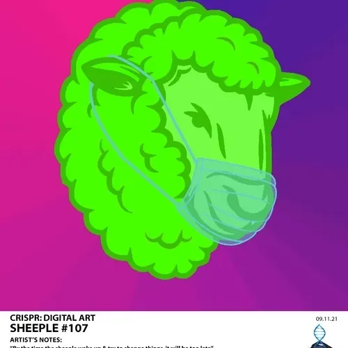 Item #87415360235446664004770043537842400761718434103181100029078096360520913256449 Media