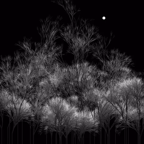 Item #95753456438183076012407588997867396722705792030743394217310034046132561117185 Media