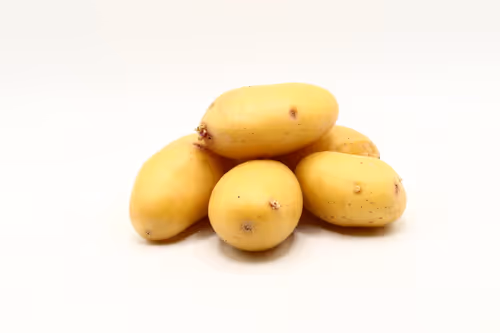 Item #97726151104522163495278545296769301934737660224123995419035737137783137894401 Media