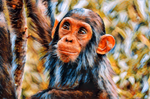 Item #5268166588450870648624449421433370993939742768172324454239271344928148422657 Media