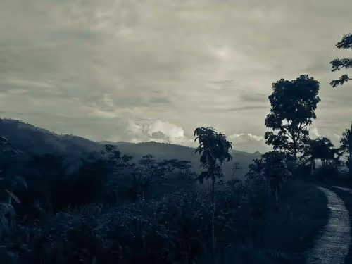 Item #84322506984009659559923408772288194812278509415660143482754304576321654620161 Media