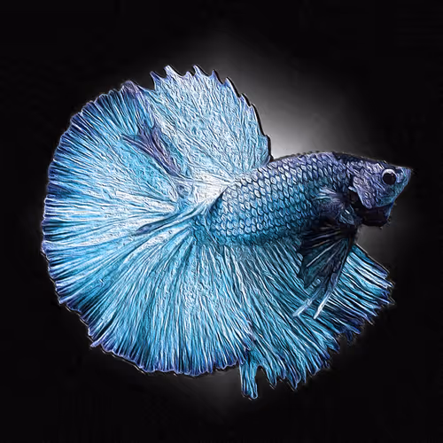 Item #73423654428024661336379470947819889295714855264791127270755008420389958189076 Media