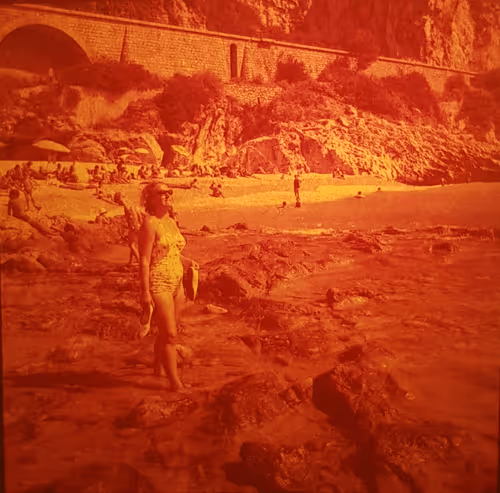 Item #99229842247812193492092246635526113316383887000586294441888985015147909087233 Media