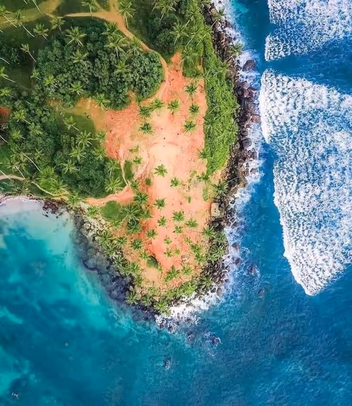 Item #10009359903282094537398543197541078073067770590855434614987939529234453626890 Media