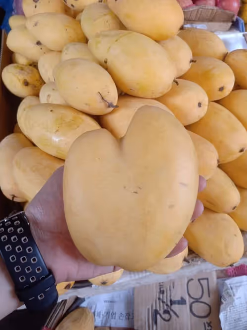 Item #54165272269550057564100274972046162223382331715469813522394667897497969491969 Media