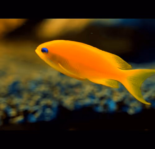 Item #96480669494729619262661189301568248367107544243964914039235424947376672997377 Media