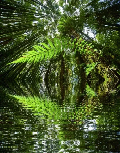 Item #33273431064062745158281459223994481396408298461003960329838769748107113529349 Media