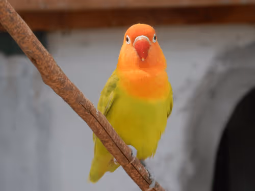 Item #53581876738018030526296833198765097323208142745183468553001527176423572242433 Media