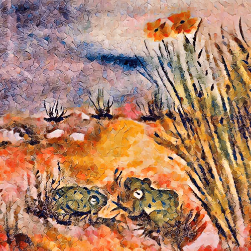 A chat after the rain - Mosoil