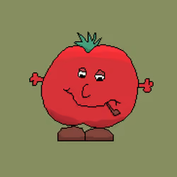 15 Tom Tomato