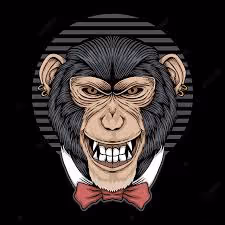 Item #66341660857482850106161853673387586987577444452502113131551488130651571355698 Media