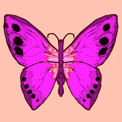 Butterfly #11