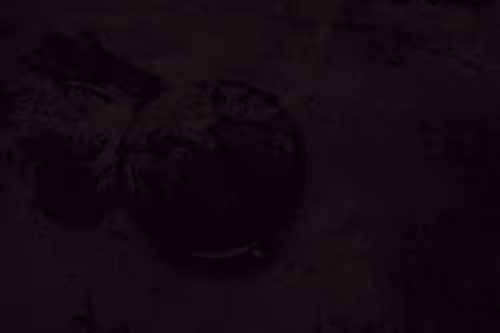 99206175731752603969632246751396839615347692654100145142238794209334619275265