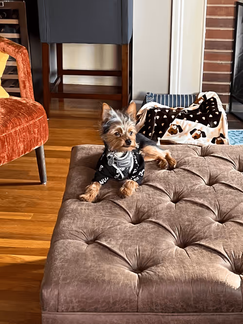 Item #88066140528539479869456014744410398514327997074780151392509103645437590503425 Media