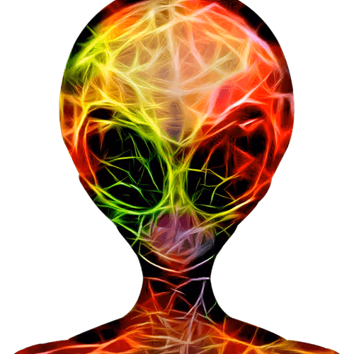 Item #78659460725135531583023670119258347490912039647015248883718852128445007134721 Media