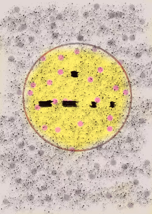 Item #42828633583342748953011678568639331296590951934285161443545613834476928892929 Media