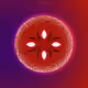 36191786784539348344137442525458198316971548765022357299542616430000897785861