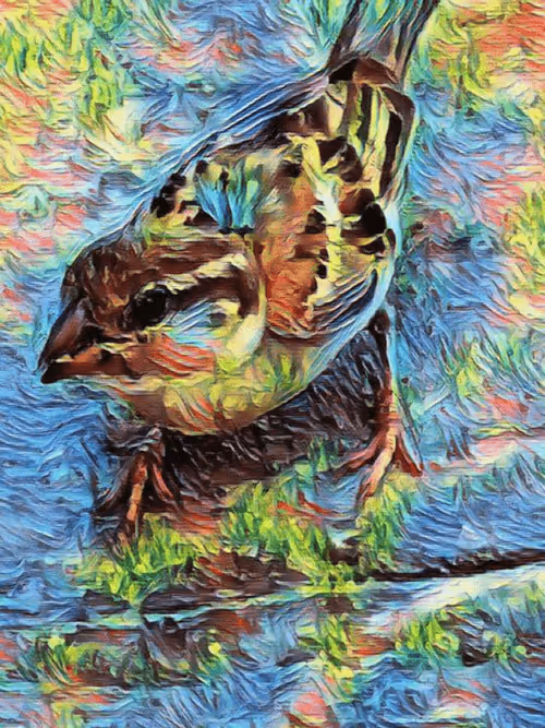 Item #36782780807699903135038144501557320909410292895804866127374726055627168153601 Media