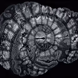 29877578668728852178902598419785793077778618348046200683544678237084223275009