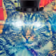97562154016432077707463394845078567445814693939729375599545620686797147209730