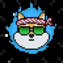 Rocket Shiba #439