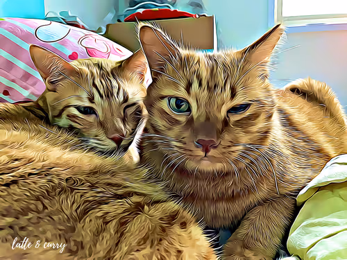 Item #38747037905347177925471706443205225448662377409082536750344913916810311499777 Media