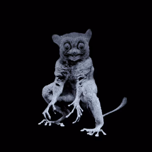 Untitled Collection #207270373