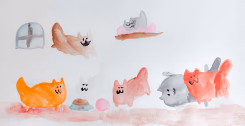 The cats 